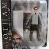 Gotham TV Select 8 Inch Action Figure - Edward Nygma (Sub-Standard Packaging) -Model Toy Discount Store gotham tv select 8 inch edward nygma image